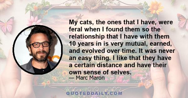 My cats, the ones that I have, were feral when I found them so the relationship that I have with them 10 years in is very mutual, earned, and evolved over time. It was never an easy thing. I like that they have a