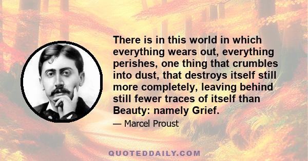 There is in this world in which everything wears out, everything perishes, one thing that crumbles into dust, that destroys itself still more completely, leaving behind still fewer traces of itself than Beauty: namely