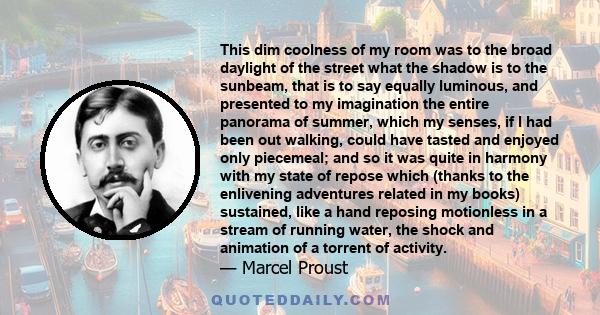 This dim coolness of my room was to the broad daylight of the street what the shadow is to the sunbeam, that is to say equally luminous, and presented to my imagination the entire panorama of summer, which my senses, if 