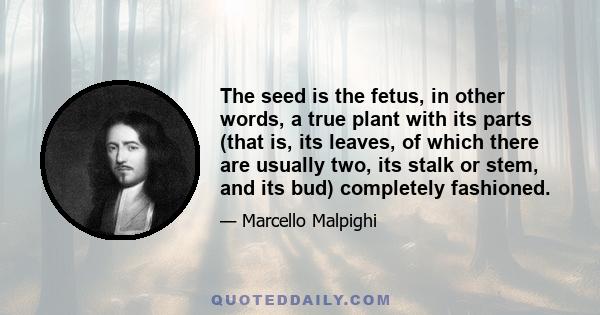 The seed is the fetus, in other words, a true plant with its parts (that is, its leaves, of which there are usually two, its stalk or stem, and its bud) completely fashioned.