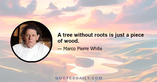 A tree without roots is just a piece of wood.