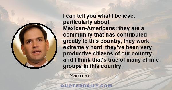 I can tell you what I believe, particularly about Mexican-Americans: they are a community that has contributed greatly to this country, they work extremely hard, they've been very productive citizens of our country, and 