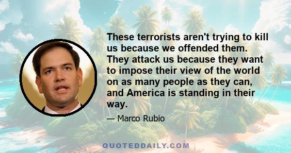 These terrorists aren't trying to kill us because we offended them. They attack us because they want to impose their view of the world on as many people as they can, and America is standing in their way.