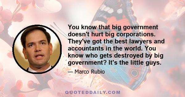 You know that big government doesn't hurt big corporations. They've got the best lawyers and accountants in the world. You know who gets destroyed by big government? It's the little guys.