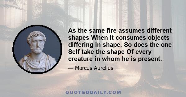 As the same fire assumes different shapes When it consumes objects differing in shape, So does the one Self take the shape Of every creature in whom he is present.