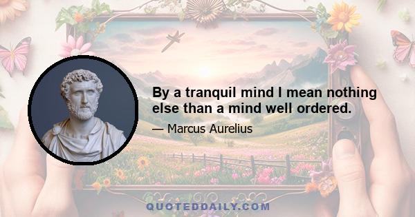 By a tranquil mind I mean nothing else than a mind well ordered.