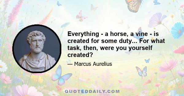 Everything - a horse, a vine - is created for some duty... For what task, then, were you yourself created?