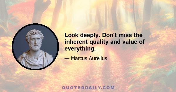 Look deeply. Don't miss the inherent quality and value of everything.