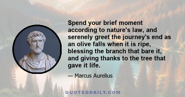 Spend your brief moment according to nature's law, and serenely greet the journey's end as an olive falls when it is ripe, blessing the branch that bare it, and giving thanks to the tree that gave it life.