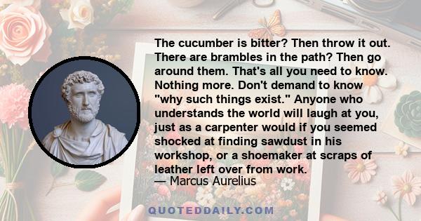 The cucumber is bitter? Then throw it out. There are brambles in the path? Then go around them. That's all you need to know. Nothing more. Don't demand to know why such things exist. Anyone who understands the world