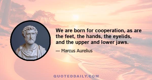 We are born for cooperation, as are the feet, the hands, the eyelids, and the upper and lower jaws.