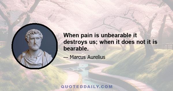 When pain is unbearable it destroys us; when it does not it is bearable.