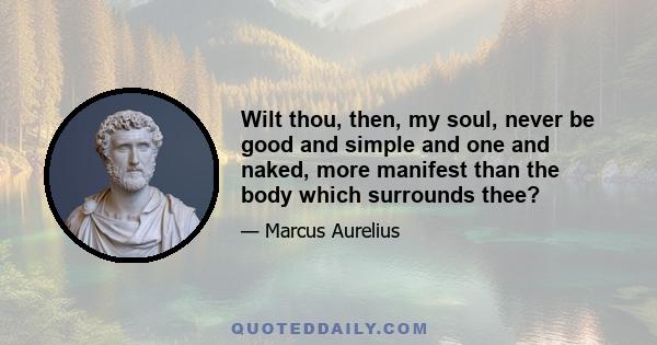 Wilt thou, then, my soul, never be good and simple and one and naked, more manifest than the body which surrounds thee?