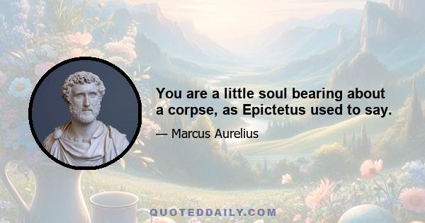 You are a little soul bearing about a corpse, as Epictetus used to say.