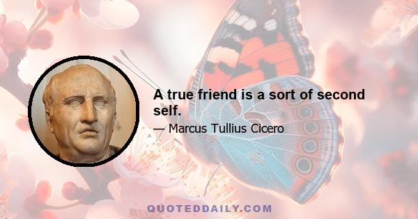 A true friend is a sort of second self.