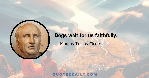 Dogs wait for us faithfully.