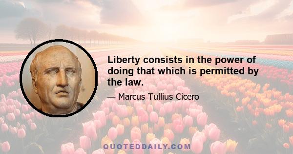 Liberty consists in the power of doing that which is permitted by the law.