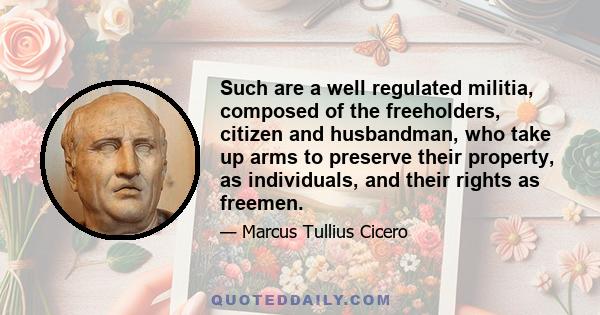 Such are a well regulated militia, composed of the freeholders, citizen and husbandman, who take up arms to preserve their property, as individuals, and their rights as freemen.