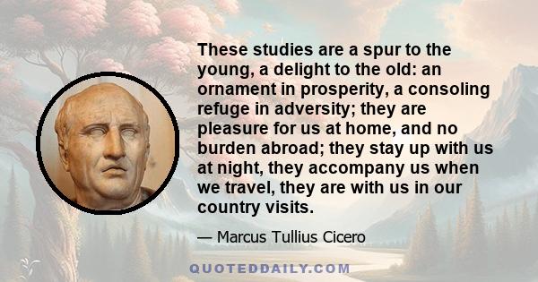 These studies are a spur to the young, a delight to the old: an ornament in prosperity, a consoling refuge in adversity; they are pleasure for us at home, and no burden abroad; they stay up with us at night, they