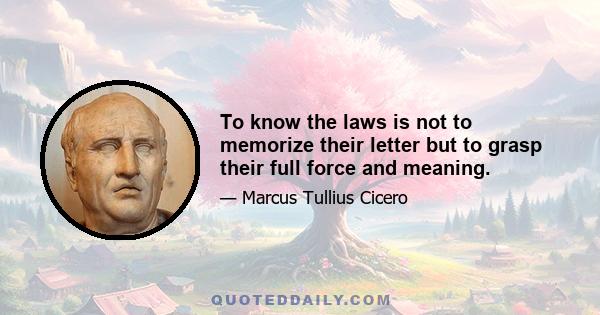 To know the laws is not to memorize their letter but to grasp their full force and meaning.