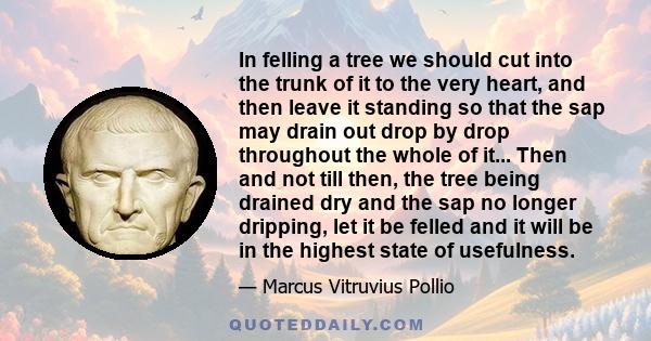 In felling a tree we should cut into the trunk of it to the very heart, and then leave it standing so that the sap may drain out drop by drop throughout the whole of it... Then and not till then, the tree being drained