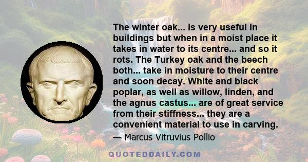 The winter oak... is very useful in buildings but when in a moist place it takes in water to its centre... and so it rots. The Turkey oak and the beech both... take in moisture to their centre and soon decay. White and