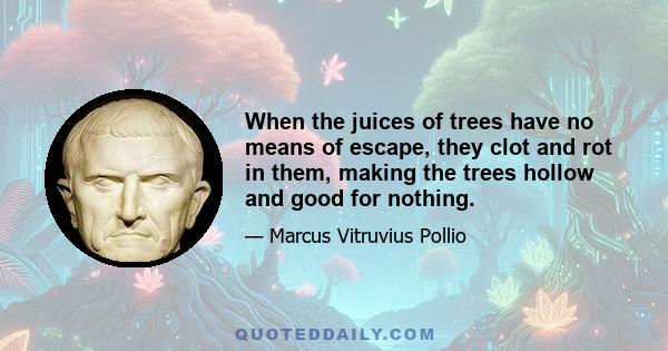 When the juices of trees have no means of escape, they clot and rot in them, making the trees hollow and good for nothing.