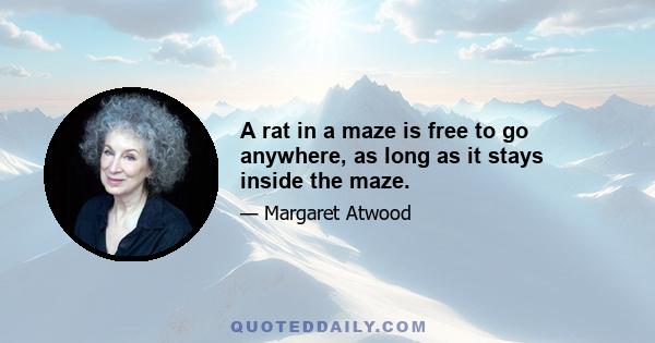 A rat in a maze is free to go anywhere, as long as it stays inside the maze.