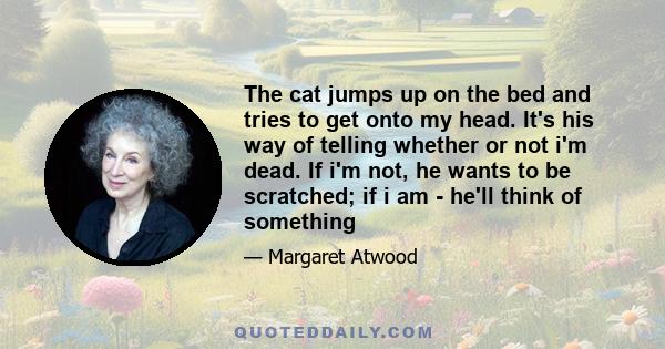 The cat jumps up on the bed and tries to get onto my head. It's his way of telling whether or not i'm dead. If i'm not, he wants to be scratched; if i am - he'll think of something