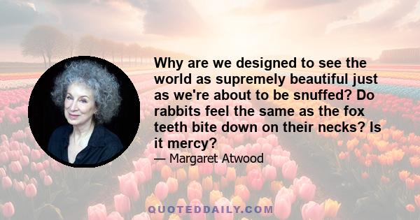 Why are we designed to see the world as supremely beautiful just as we're about to be snuffed? Do rabbits feel the same as the fox teeth bite down on their necks? Is it mercy?