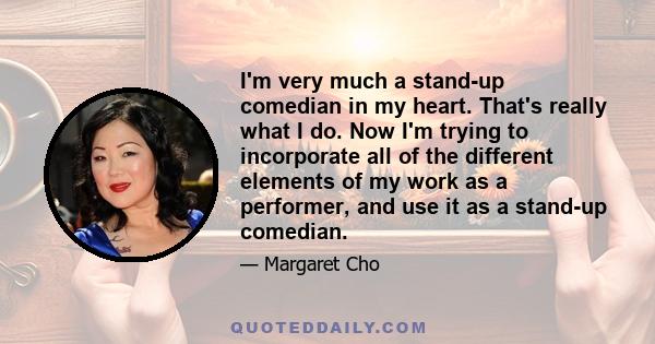 I'm very much a stand-up comedian in my heart. That's really what I do. Now I'm trying to incorporate all of the different elements of my work as a performer, and use it as a stand-up comedian.