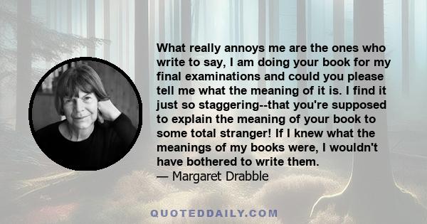 What really annoys me are the ones who write to say, I am doing your book for my final examinations and could you please tell me what the meaning of it is. I find it just so staggering--that you're supposed to explain