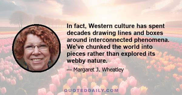 In fact, Western culture has spent decades drawing lines and boxes around interconnected phenomena. We've chunked the world into pieces rather than explored its webby nature.