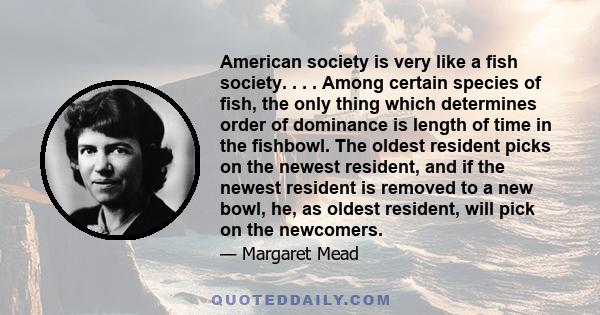 American society is very like a fish society. . . . Among certain species of fish, the only thing which determines order of dominance is length of time in the fishbowl. The oldest resident picks on the newest resident,