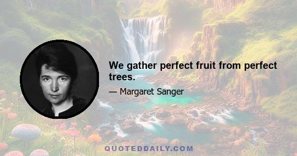 We gather perfect fruit from perfect trees.