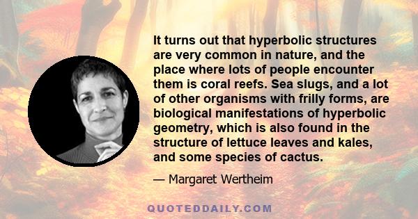 It turns out that hyperbolic structures are very common in nature, and the place where lots of people encounter them is coral reefs. Sea slugs, and a lot of other organisms with frilly forms, are biological