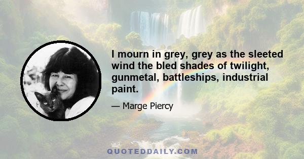 I mourn in grey, grey as the sleeted wind the bled shades of twilight, gunmetal, battleships, industrial paint.