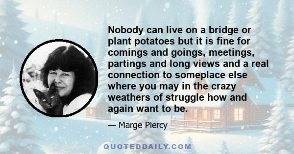 Nobody can live on a bridge or plant potatoes but it is fine for comings and goings, meetings, partings and long views and a real connection to someplace else where you may in the crazy weathers of struggle how and