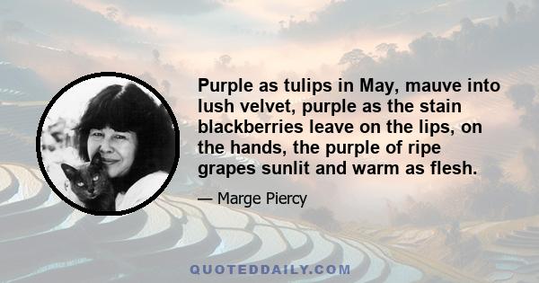 Purple as tulips in May, mauve into lush velvet, purple as the stain blackberries leave on the lips, on the hands, the purple of ripe grapes sunlit and warm as flesh.