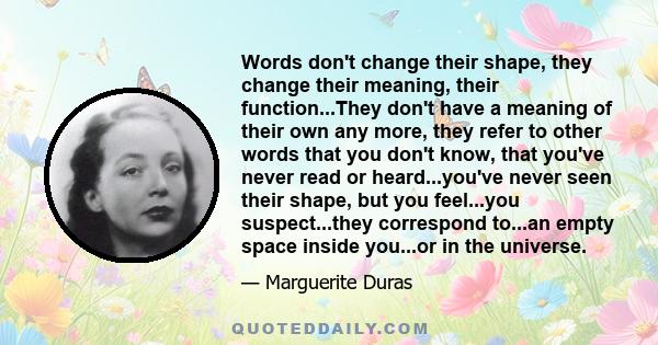 Words don't change their shape, they change their meaning, their function...They don't have a meaning of their own any more, they refer to other words that you don't know, that you've never read or heard...you've never