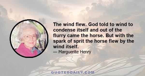 The wind flew. God told to wind to condense itself and out of the flurry came the horse. But with the spark of sprit the horse flew by the wind itself.