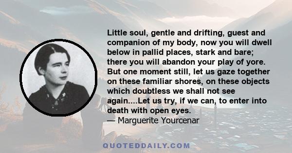 Little soul, gentle and drifting, guest and companion of my body, now you will dwell below in pallid places, stark and bare; there you will abandon your play of yore. But one moment still, let us gaze together on these