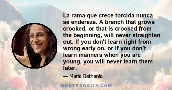 La rama que crece torcida nunca se endereza. A branch that grows crooked, or that is crooked from the beginning, will never straighten out. If you don't learn right from wrong early on, or if you don't learn manners