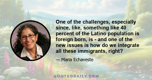 One of the challenges, especially since, like, something like 40 percent of the Latino population is foreign born, is - and one of the new issues is how do we integrate all these immigrants, right?