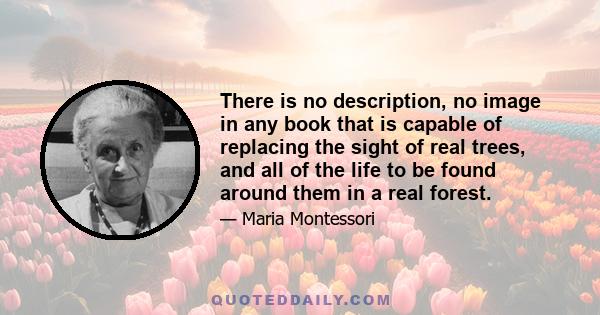 There is no description, no image in any book that is capable of replacing the sight of real trees, and all of the life to be found around them in a real forest.