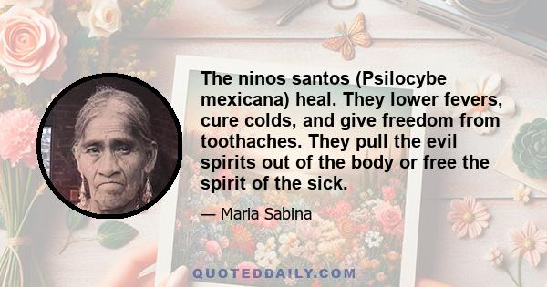 The ninos santos (Psilocybe mexicana) heal. They lower fevers, cure colds, and give freedom from toothaches. They pull the evil spirits out of the body or free the spirit of the sick.