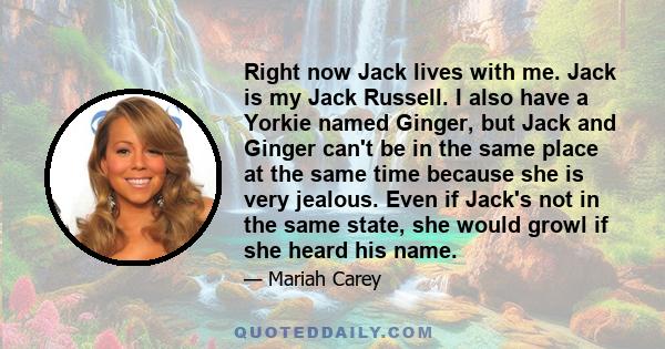 Right now Jack lives with me. Jack is my Jack Russell. I also have a Yorkie named Ginger, but Jack and Ginger can't be in the same place at the same time because she is very jealous. Even if Jack's not in the same