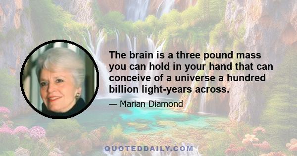 The brain is a three pound mass you can hold in your hand that can conceive of a universe a hundred billion light-years across.