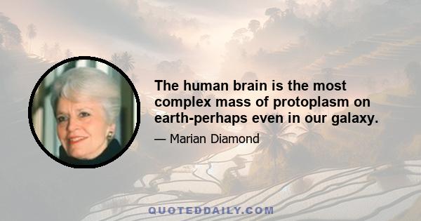 The human brain is the most complex mass of protoplasm on earth-perhaps even in our galaxy.