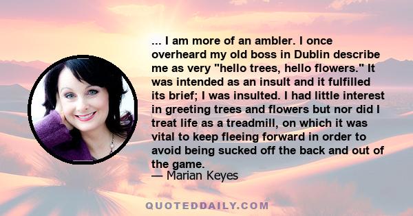 ... I am more of an ambler. I once overheard my old boss in Dublin describe me as very hello trees, hello flowers. It was intended as an insult and it fulfilled its brief; I was insulted. I had little interest in